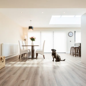 Silverknowes – Timber Frame Extension and Full Renovation