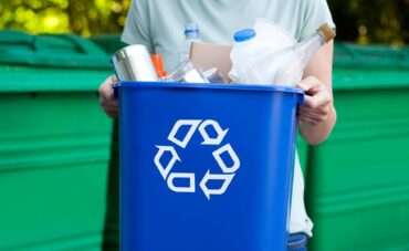Eco Blog November