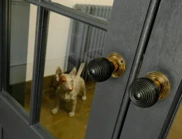 2022 04 27 Regent Terrace 062